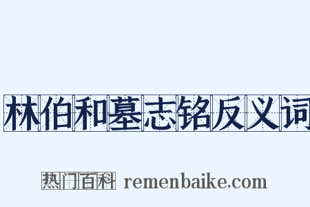 林伯和墓志铭反义词是什么意思的图片